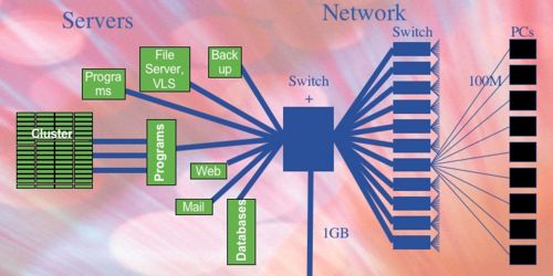Network organization